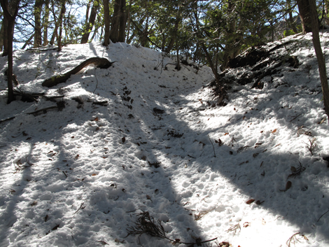 20180126hike (34)